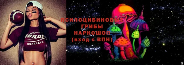 PSILOCYBIN Абаза