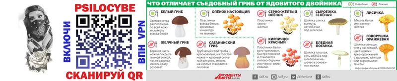 Псилоцибиновые грибы MAGIC MUSHROOMS  наркота  Тихорецк 